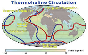 thermohaline circulation wikipedia