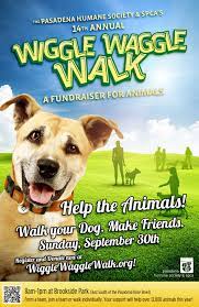 Pin By Pasadena Humane Society Spca On Phs Events Dog Fundraiser Dog Rescue Fundraising Animal Fundraising