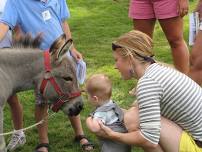 Hay Day Fall Festival