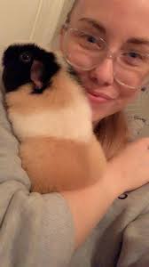 How to catch a guinea pig in need of rescue?