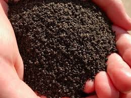 If you dont already have 15# of worms, thats approx 15 x $25 = $375. Worm Castings The Best Plant Food 100 Organic