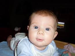 Mamman och de 12 trollungarna -