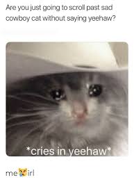 Screaming cowboy ft screaming cat. Are You Just Going To Scroll Past Sad Cowboy Cat Without Saying Yeehaw Cries In Veehaw Me Irl Cowboy Meme On Me Me