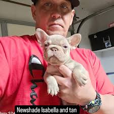 BLH male ns 11. DOB 27.06.2024.