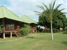 Lope National Park Gabon Gabon Comunidad Fotografica