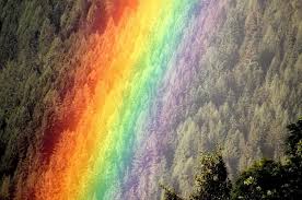 Oficialmente, el orden de los colores del arco iris es el siguiente: Como Se Forma El Arcoiris Sus Colores Y Tipos Con Video