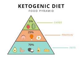 Ketogenic Diet Food Pyramid Vector Illustrator Download
