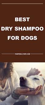 7 Best Dry Waterless Shampoos For Dogs 2020 Budget Friendly Pick Dog Shampoo Dry Dog Shampoo Best Dry Shampoo