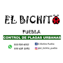 El Bichito Puebla