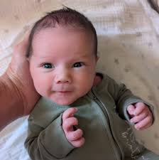 Wanda Sykes and the mosquito man