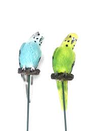 Sold and shipped by best choice products. Aussie Australian Birds Budgie Statue Budgies Bird Figurine Ornament Wall Decor Hlpsocialsquare Com