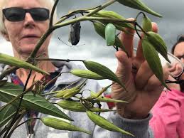 Outdoor Illinois Journal: New Faces in the Field: The Importance of  Increasing Women in Conservation