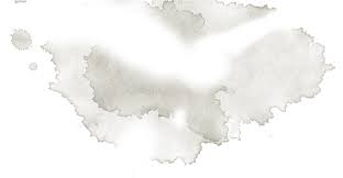 Notice how rain water beads up on the surface. Stains Png Brassiere Clipart Large Size Png Image Pikpng