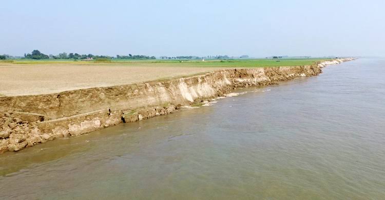 বালু উত্তোলনে পদ্মায় ভাঙন, বিলীন ফসলি জমি