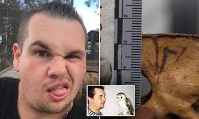 Petting zoo operator Daniel Brighton JAILED for horrific animal abuse  against bull terrier dog