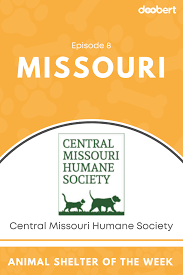 Animal Shelter Of The Week Episode 8 Central Missouri Humane Society In Missouri Doobert Com Central Missouri Animal Shelter Humane Society