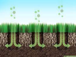 A plug aerator or a spike aerator. How To Aerate A Yard 9 Steps With Pictures Wikihow