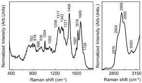 But it ended in vain. Sensors Free Full Text Raman Microscopy Progress In Research On Cancer Cell Sensing Html