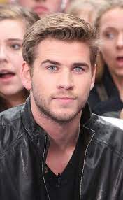 Pin By Robert On Liam Hemsworth Short Hair With Beard Mens Hairstyles Short Liam Hemsworth
