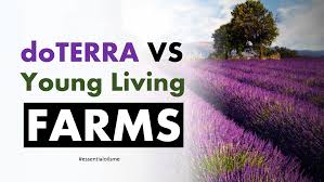 Terrific Doterra Vs Young Living Farms Overview