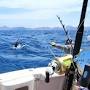 Sea Fishing from fishingbooker.com