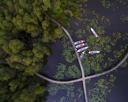 Hình ảnh về Làng nổi Tân Lập