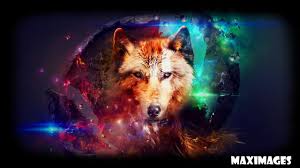Follow the vibe and change your wallpaper every day! Abstract Wolf Wallpaper For Android Apk Download