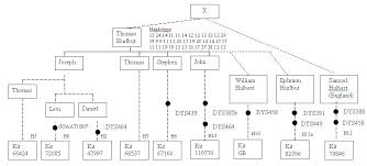 hurlbutdna mutation descent chart