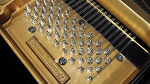 Image result for Pentas schumanniana