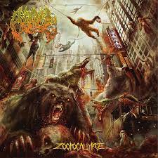ATOLL - Zoopocalypse - Amazon.com Music
