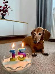 Aysu Keskin @aysukeskin12 - Twitter Profile | Sotwe