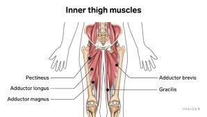 Check spelling or type a new query. The Ultimate Inner Thigh Workout 5 Of The Best Inner Thigh Exercises