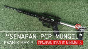 Senapan angin pcp afc aoutomatic. Sumber Senapan Air Rifle Review Senapan Angin Pcp Evanix Rex Youtube