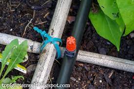 We did not find results for: Das Gardena Micro Drip Bewasserungs System Planen Und Im Garten Verlegen Erfahrung Topfgartenwelt