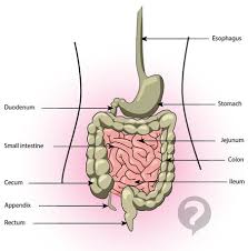 Download scientific diagram | gambarajah 10.1: Zulkhairimurad Page 3 Coway Blog By Zulkhairi