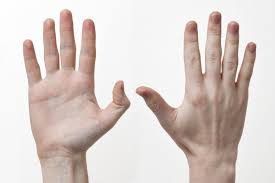 prastara japonska metoda rozne typy bolesti vyliecite iba pomocou prstov dobre noviny human hand bones human hand hand anatomy
