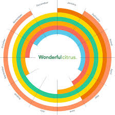 Seasonal Calendar Wonderful Citrus