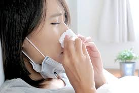 鼻塞癢癢打噴嚏！到底哪裡出問題？-Hello醫師