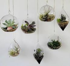 Set Of 6 6 Air Plant Glass Terrarium Egg Shaped Plant Holders Hanging Plant Holder Hanging Terrarium Hanging Plants