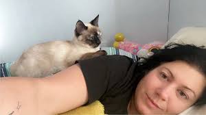 Hello! My cat Elvira got out last night, I went to the address that her  tracker says she is and they “haven't seen her” she lives