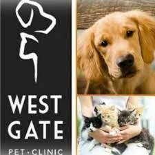 We are committed to providing quality medicine, dentistry and surgery for our patients. Westgate Pet Clinic Westgatemn Twitter