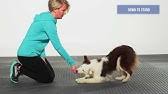 © copyright 2020 performance dog | all rights reserved. Fitpaws Paw Pods Anti Skid Youtube
