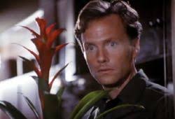 The Stepfather Trilogy