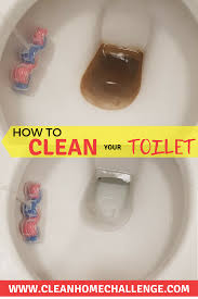 How To Remove Lime Scale Mineral Build Up From Your Toilet Clean Home Challenge Toilet Cleaning Clean Toilet Bowl Stains Clean Toilet Bowl