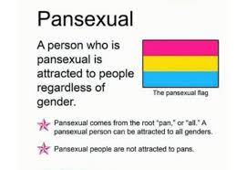 A pansexual is a person who is attracted to all gender identities, or attracted to people regardless of gender, according to glaad president & ceo, sarah kate ellis. Pride London Festival ×'×˜×•×•×™×˜×¨ May 24 Is Pansexualvisibilityday Being Pansexual Means Being Attracted To People Regardless Of Gender Pansexuality Bisexuality Are Not In Conflict In Fact Some Bisexual People Also Identify