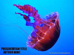 Feb 25, 2015 · back in the day i was the queen of friendship bracelets.i remember spending my summers sitting with my sister and best friend working on the coolest bracelets ever! Jellyfish Powerpoint Template Demplates