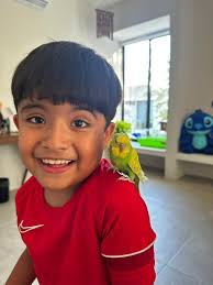 Kodomo Autismo Playa del Carmen