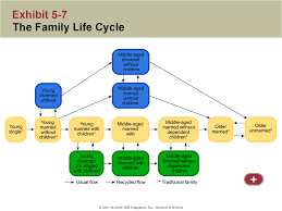 Lauren Cleave Family Life Cycle Family Life Life Cycles