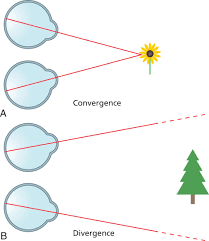 Image result for artistic divergence eyeballs