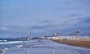 En tarifa, cielos poco nubosos en la mañana y temperaturas de 12ºc y 14ºc. De Conil A Tarifa Quince Lugares Donde Recuperar La Magia Hippie